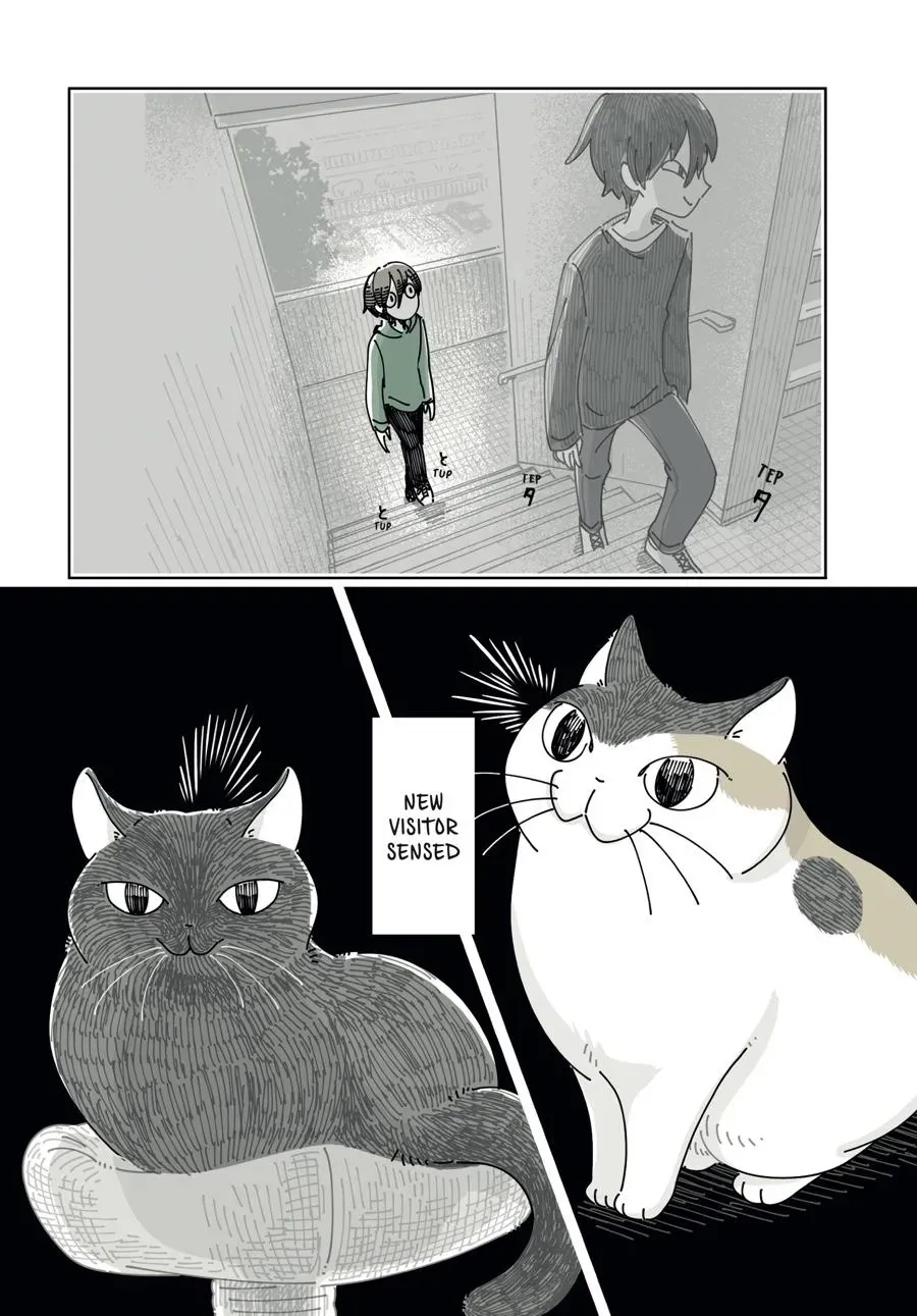 Nights With a Cat Chapter 0 page 100 - 