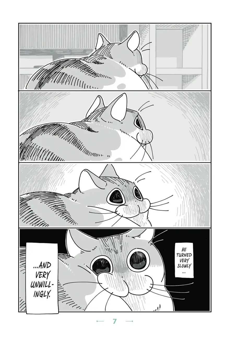 Nights With a Cat Chapter 1.1 page 7 - 