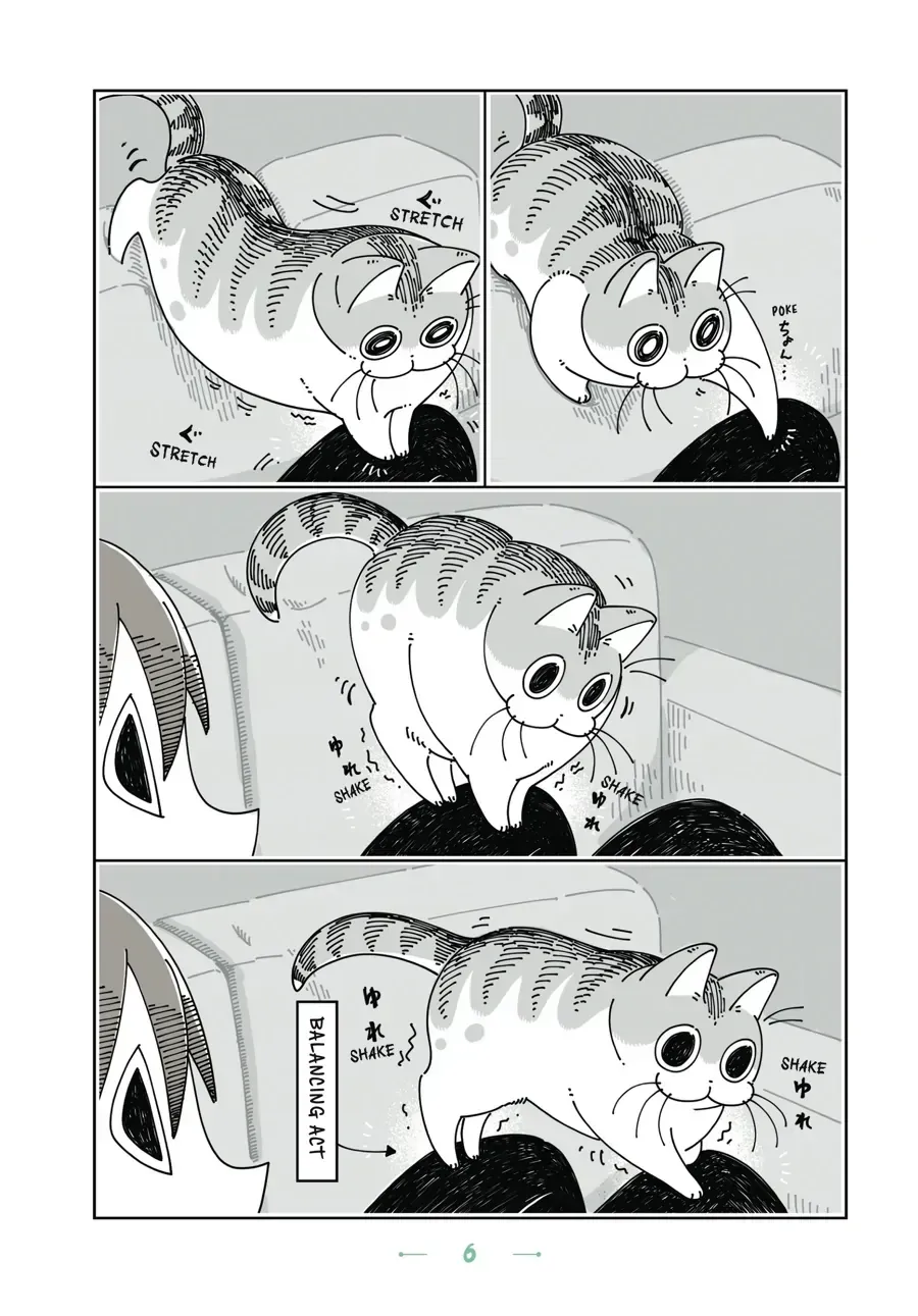 Nights With a Cat Chapter 1.2 page 6 - 