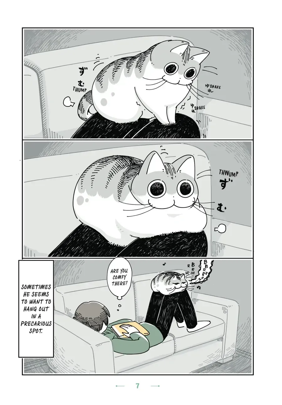 Nights With a Cat Chapter 1.2 page 7 - 