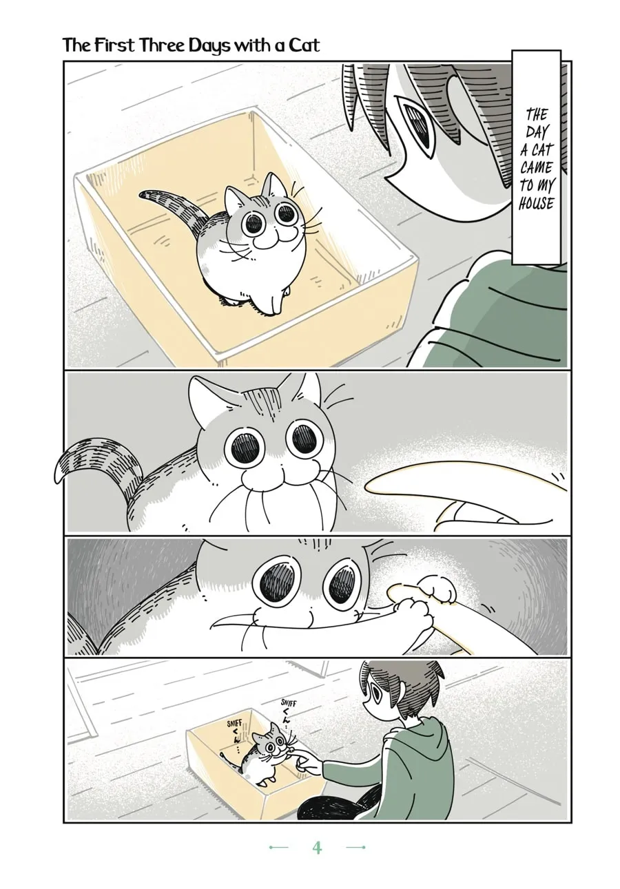 Nights With a Cat Chapter 1 page 1 - 