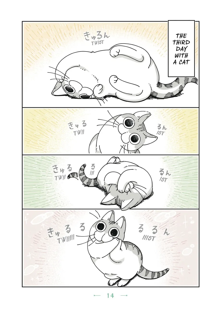 Nights With a Cat Chapter 1 page 11 - 