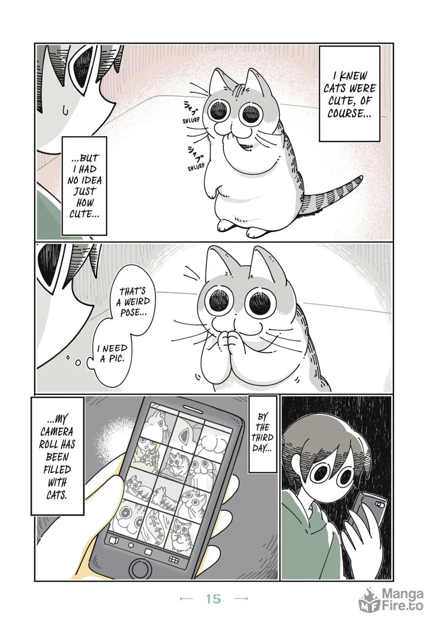 Nights With a Cat Chapter 1 page 12 - 