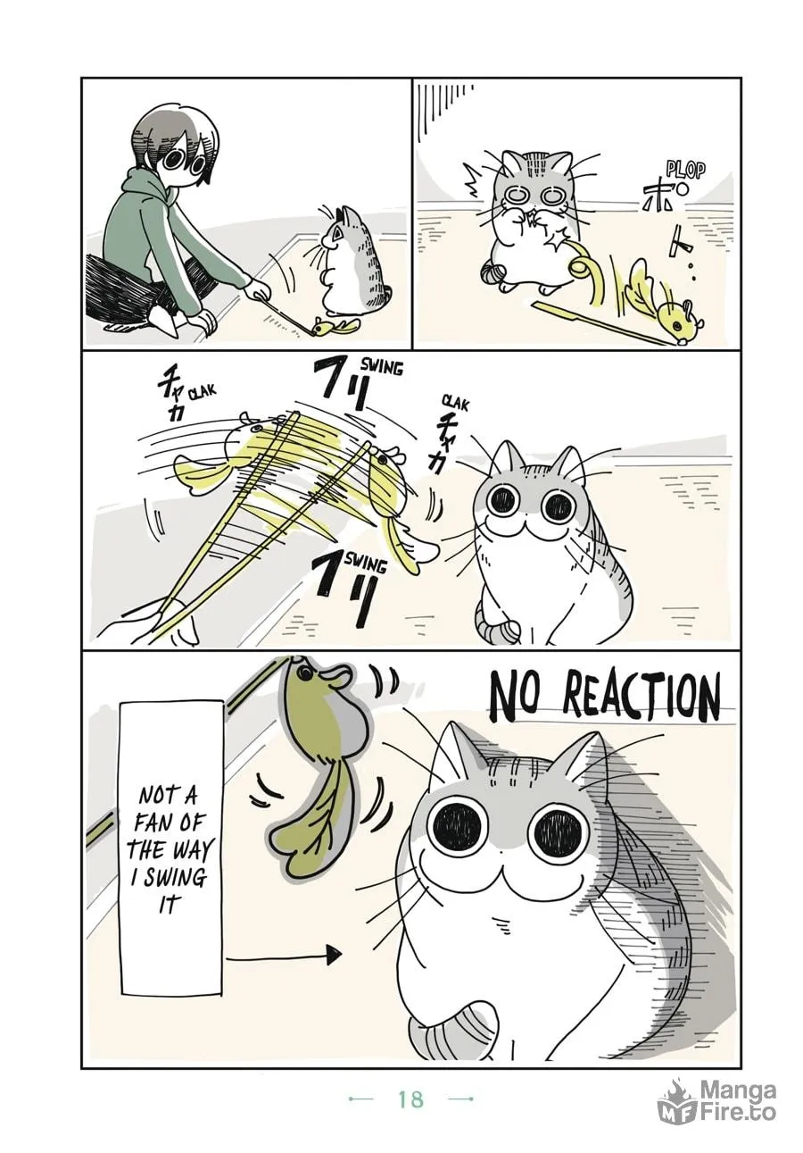 Nights With a Cat Chapter 1 page 15 - 