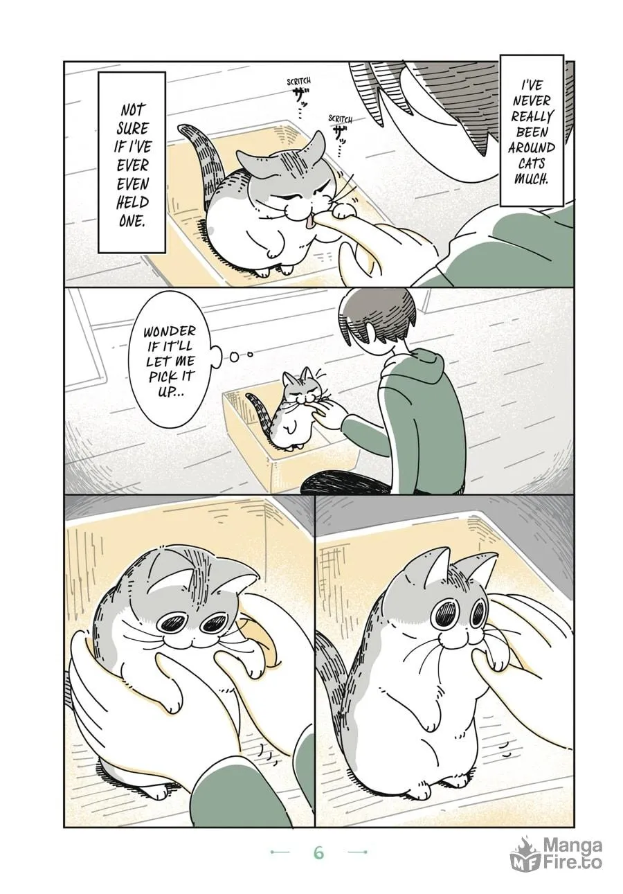 Nights With a Cat Chapter 1 page 3 - 