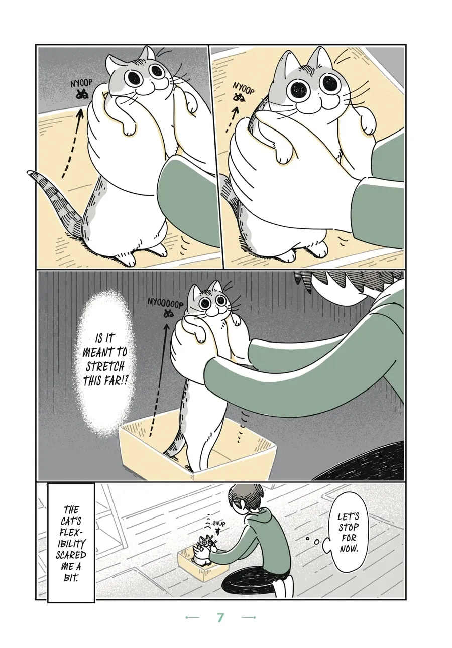 Nights With a Cat Chapter 1 page 4 - 