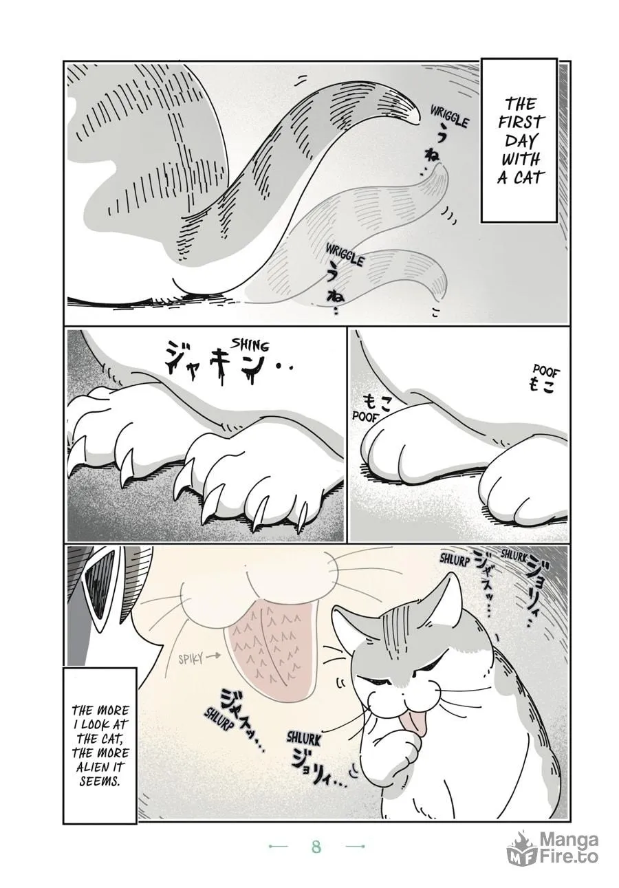 Nights With a Cat Chapter 1 page 5 - 