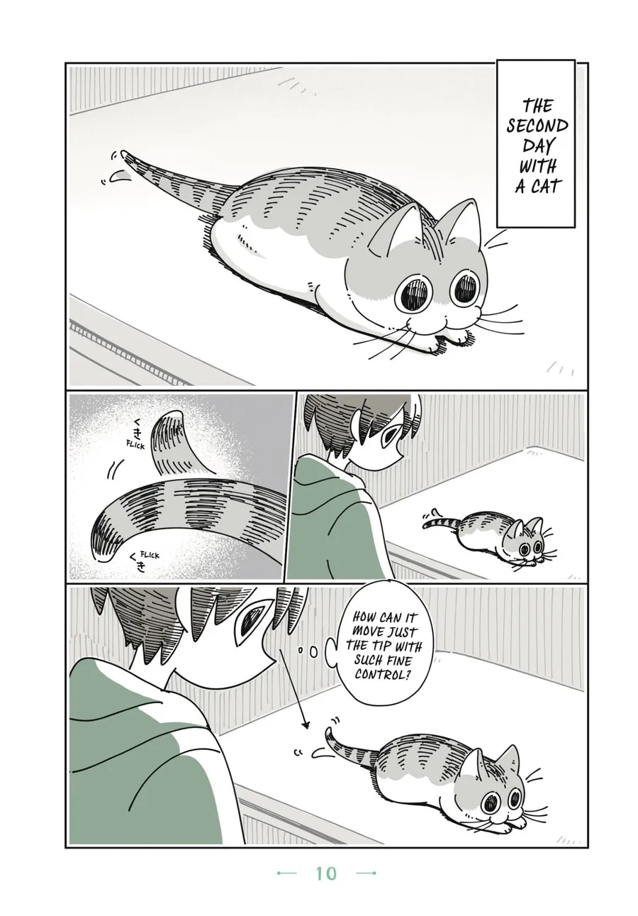 Nights With a Cat Chapter 1 page 7 - 