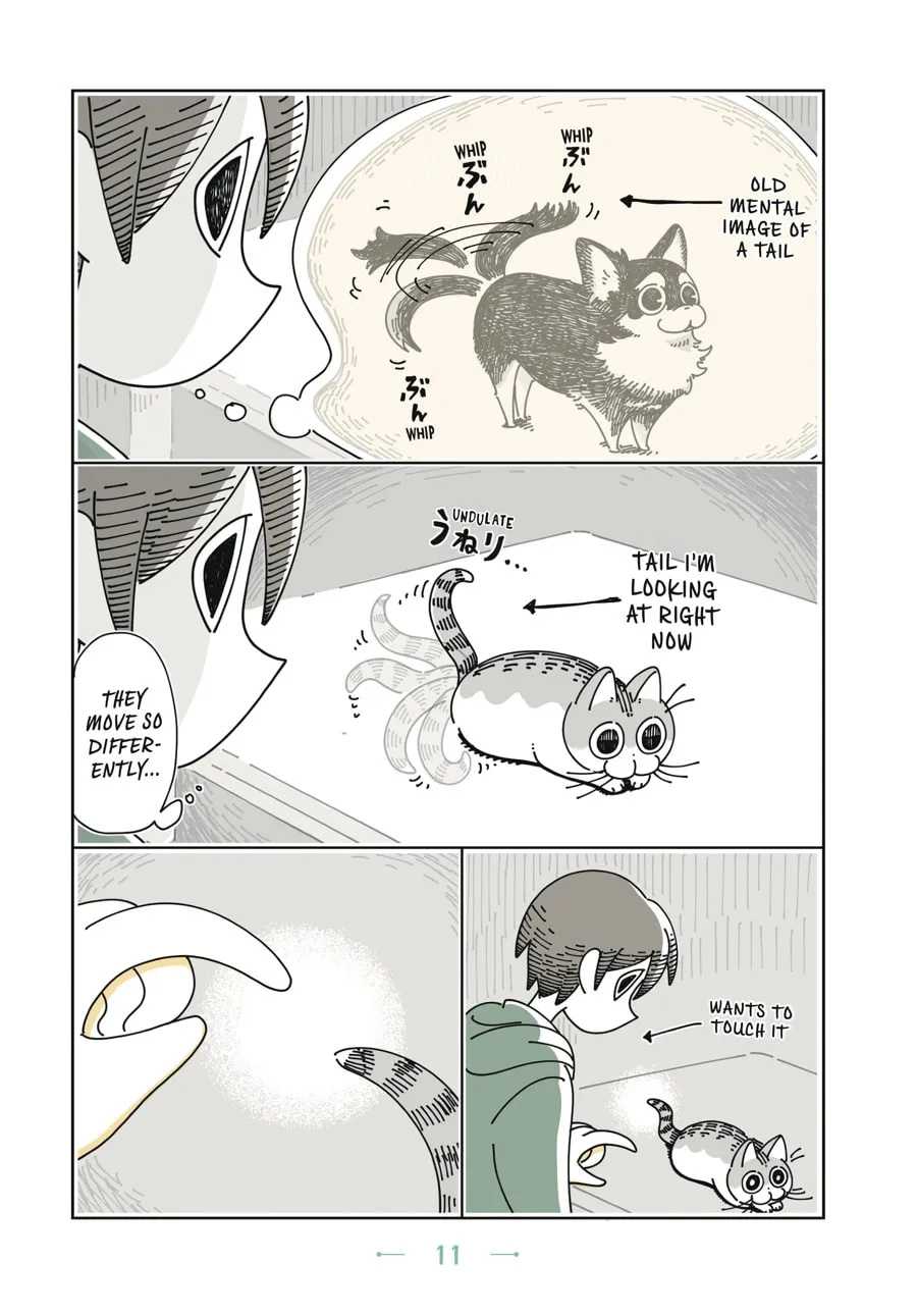 Nights With a Cat Chapter 1 page 8 - 