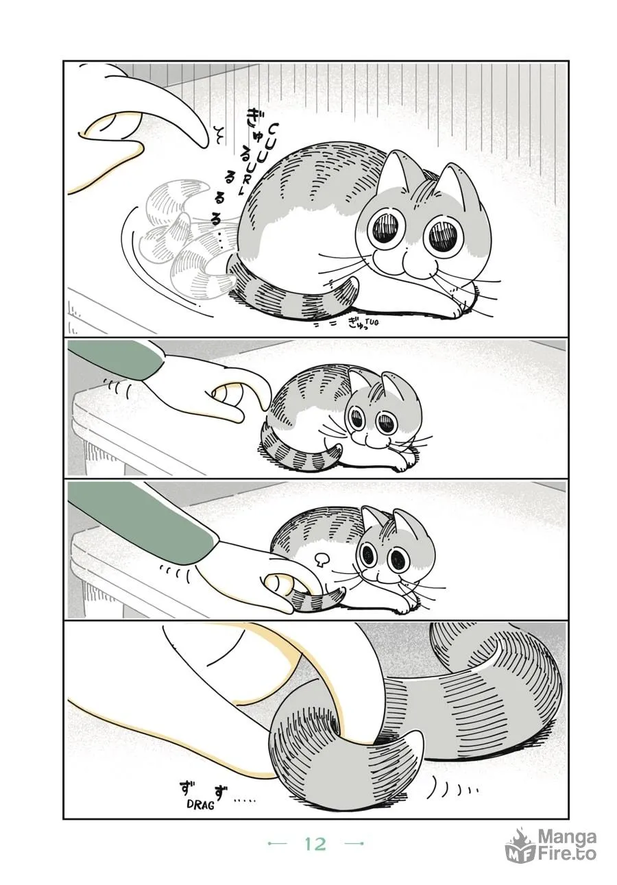 Nights With a Cat Chapter 1 page 9 - 