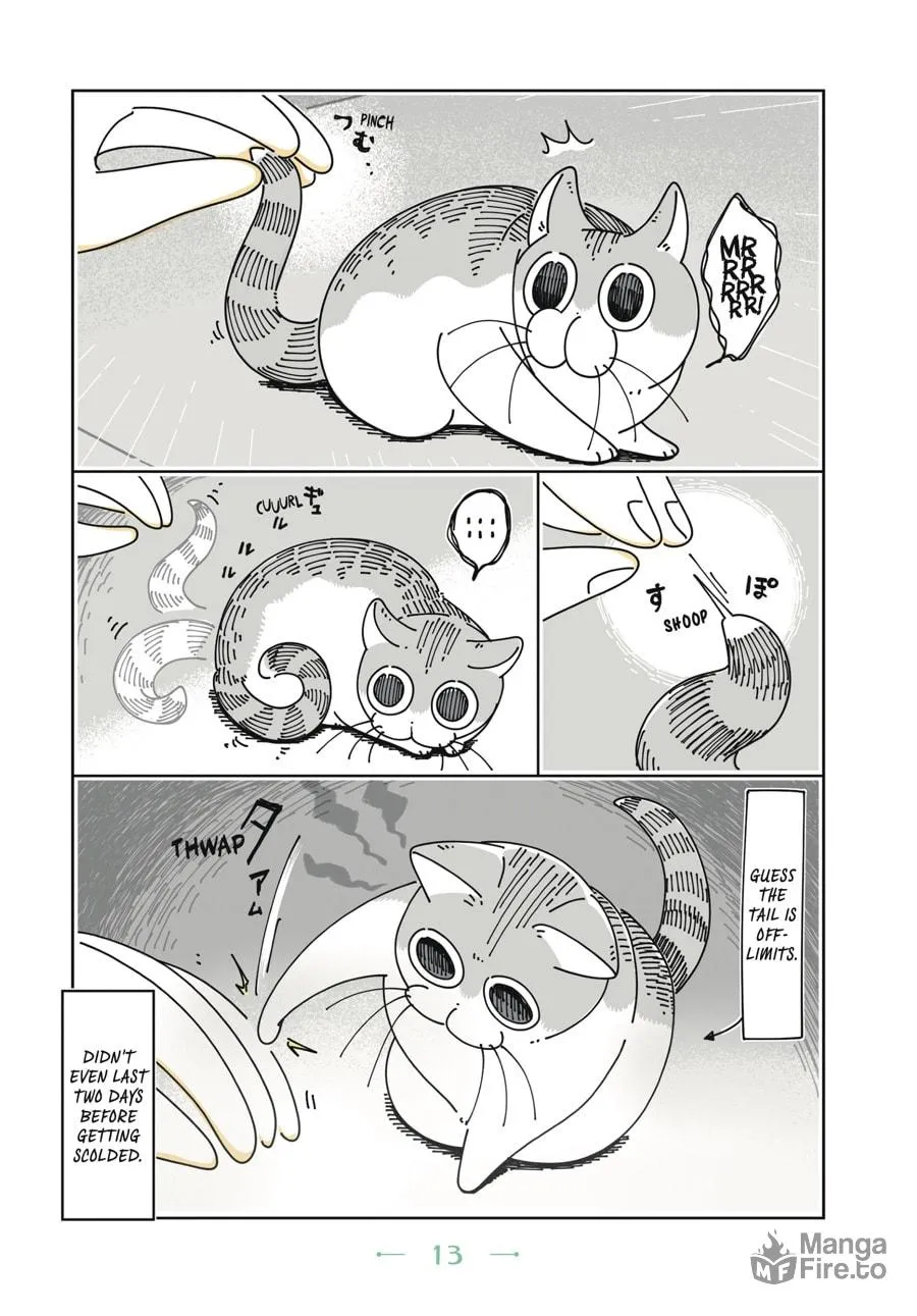 Nights With a Cat Chapter 1 page 10 - 