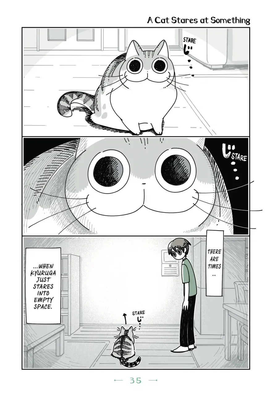 Nights With a Cat Chapter 10.1 page 1 - 