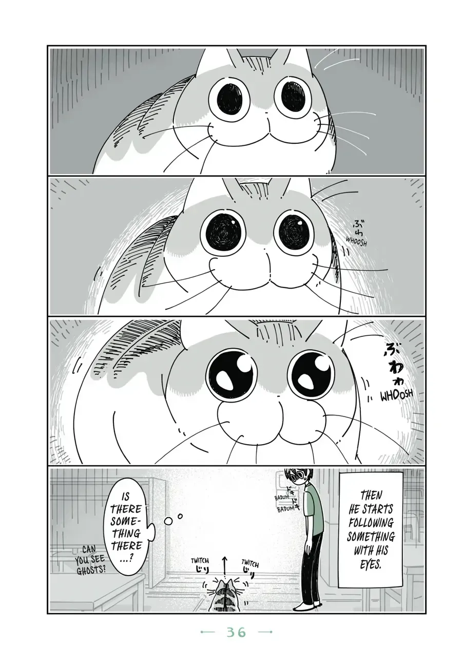 Nights With a Cat Chapter 10.1 page 2 - 