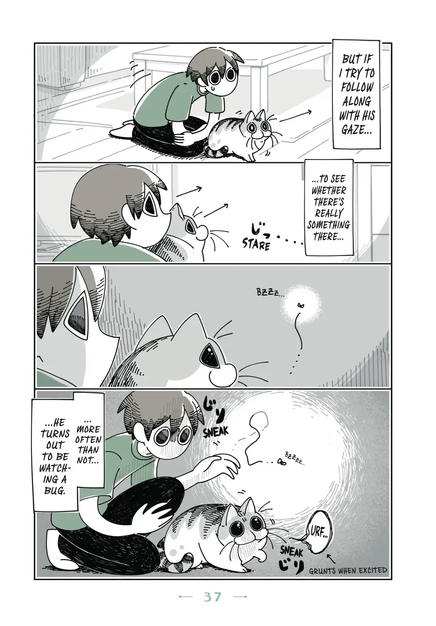 Nights With a Cat Chapter 10.1 page 3 - 