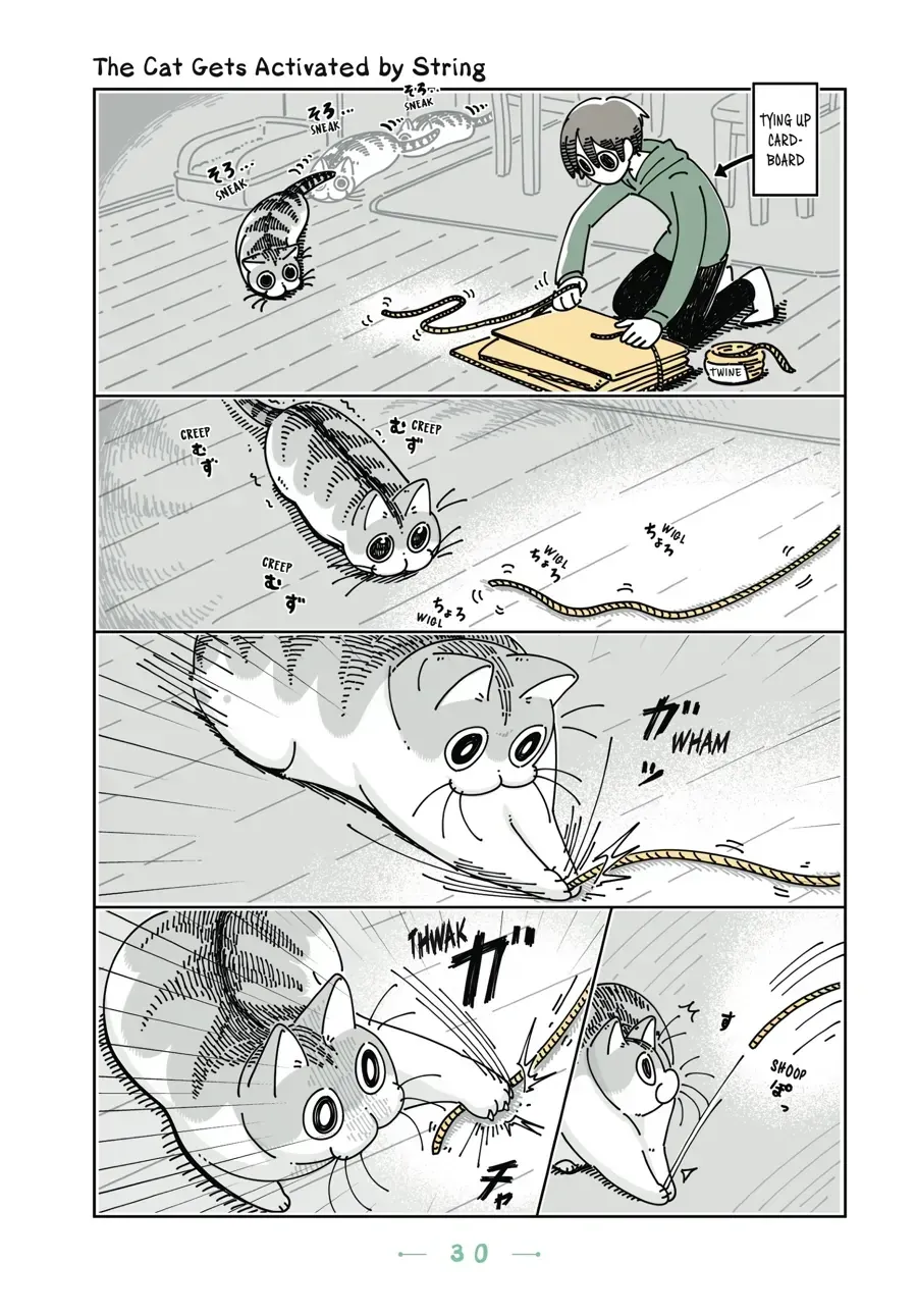 Nights With a Cat Chapter 10.2 page 1 - 
