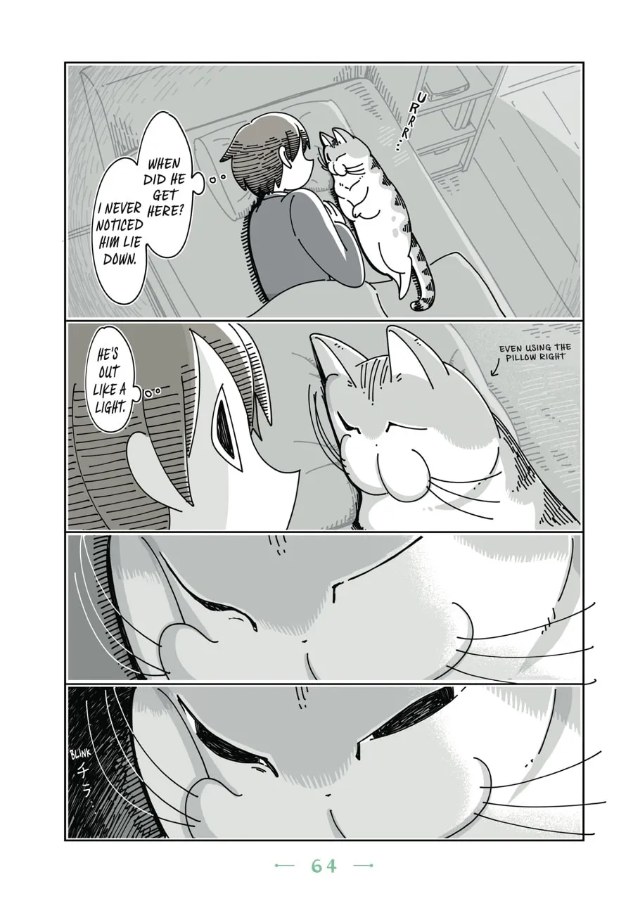 Nights With a Cat Chapter 10 page 2 - 