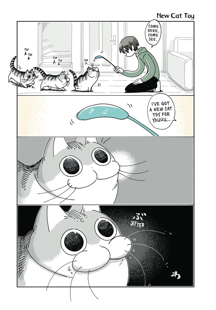 Nights With a Cat Chapter 10 page 11 - 
