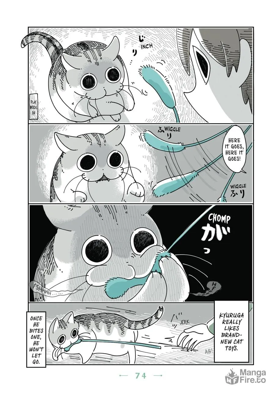 Nights With a Cat Chapter 10 page 12 - 