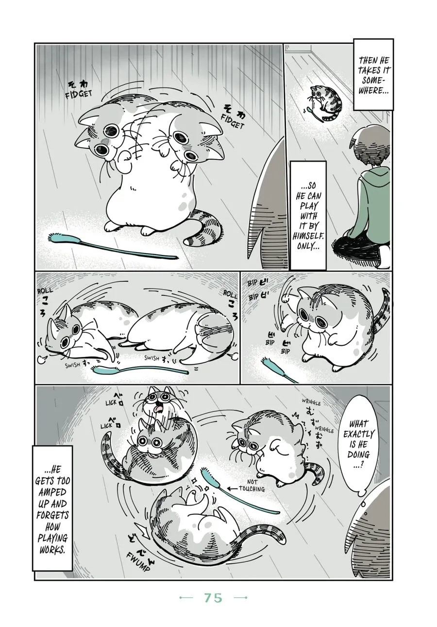 Nights With a Cat Chapter 10 page 13 - 