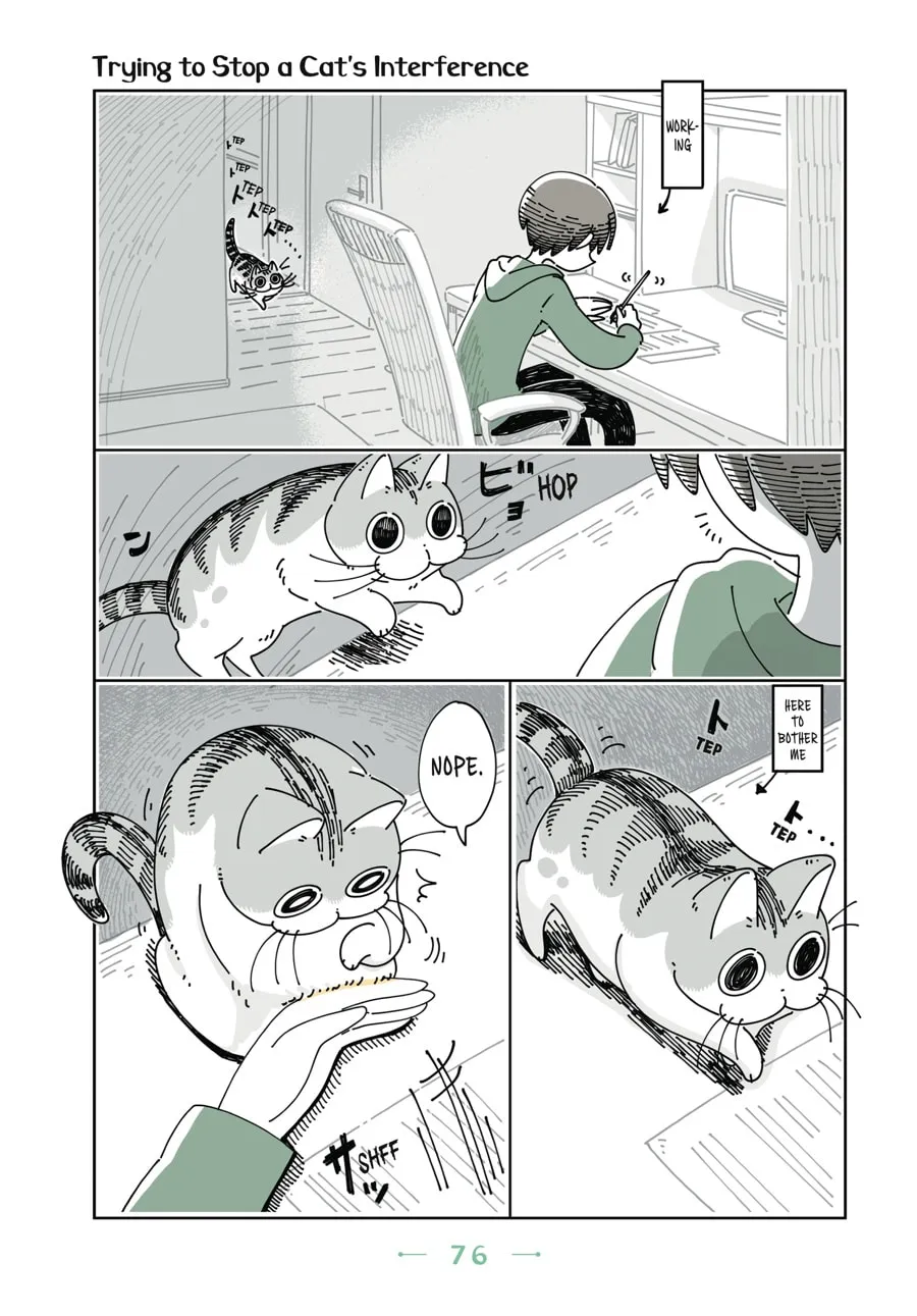 Nights With a Cat Chapter 10 page 14 - 