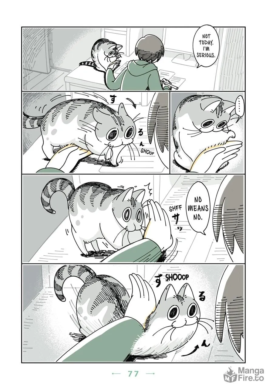 Nights With a Cat Chapter 10 page 15 - 