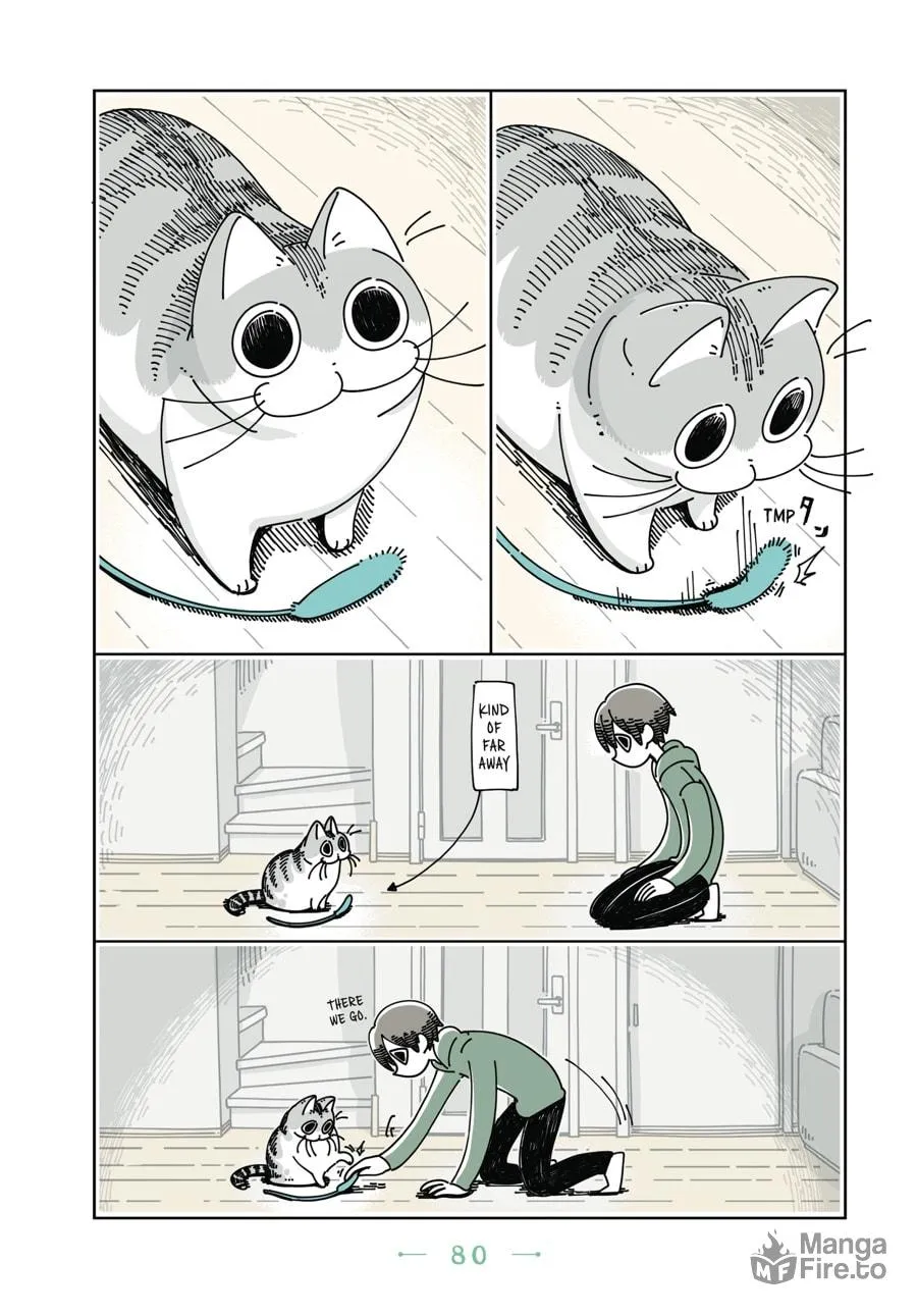 Nights With a Cat Chapter 10 page 18 - 