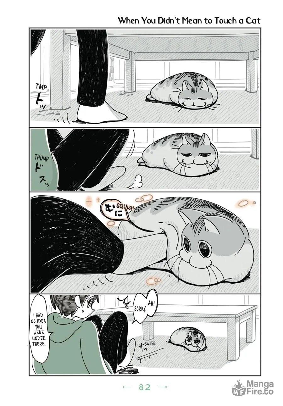 Nights With a Cat Chapter 10 page 20 - 