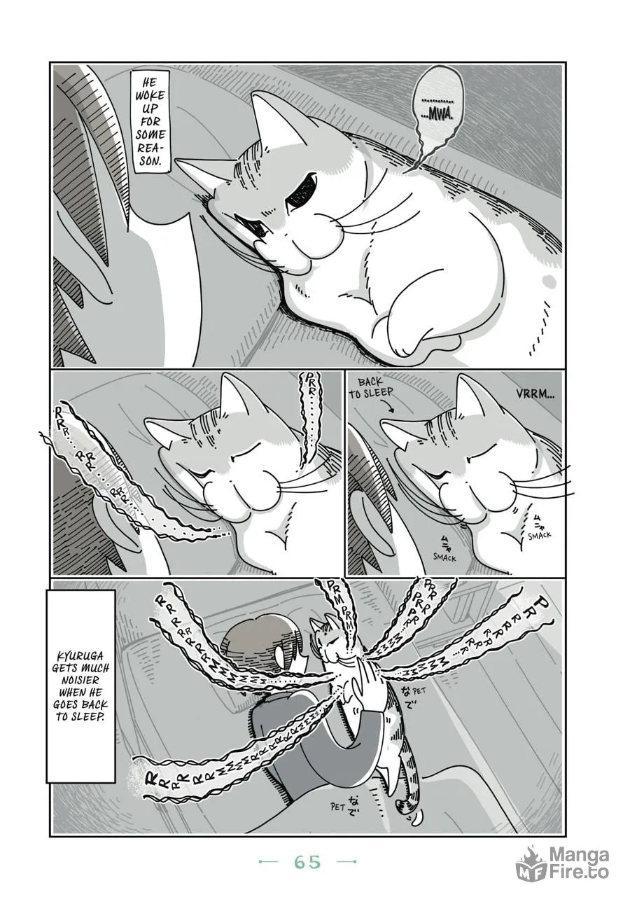 Nights With a Cat Chapter 10 page 3 - 