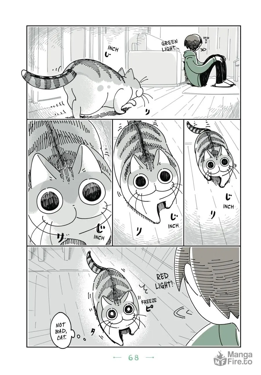 Nights With a Cat Chapter 10 page 6 - 