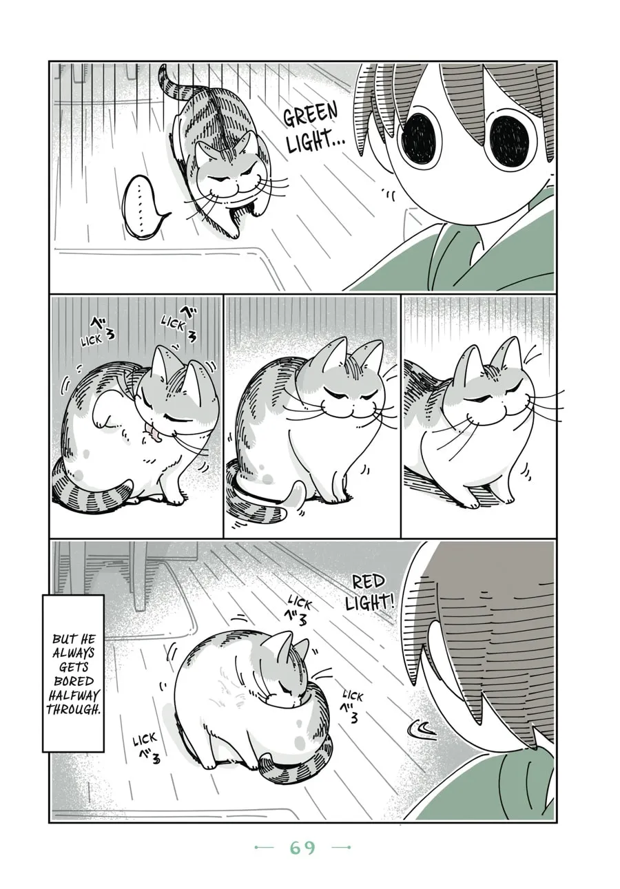 Nights With a Cat Chapter 10 page 7 - 
