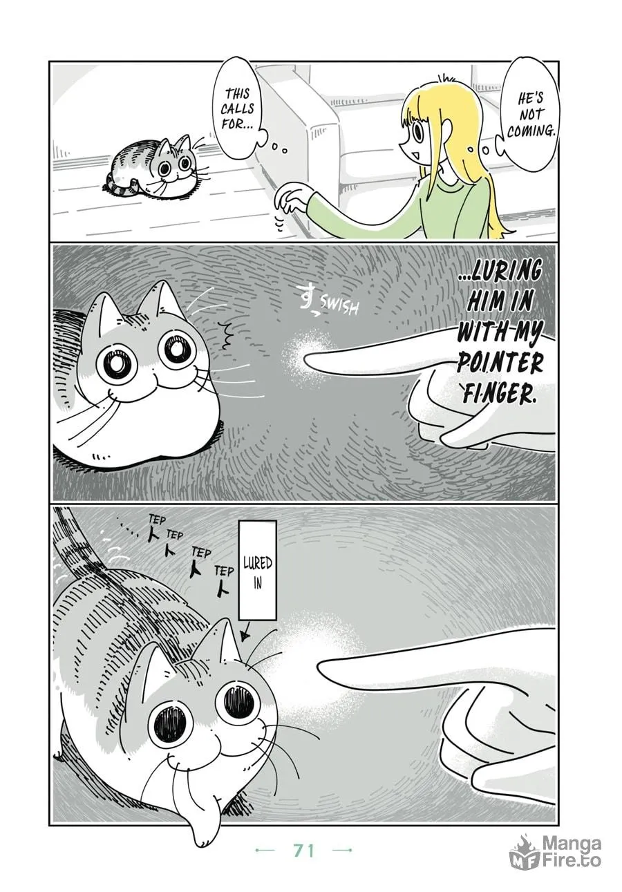 Nights With a Cat Chapter 10 page 9 - 