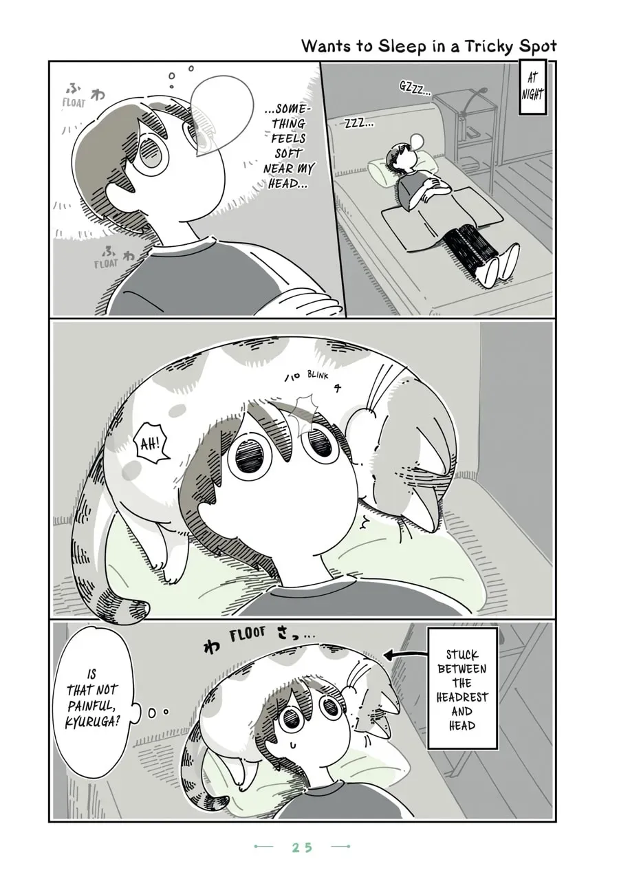 Nights With a Cat Chapter 100 page 1 - 