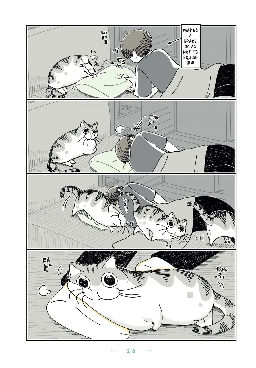 Nights With a Cat Chapter 100 page 2 - 