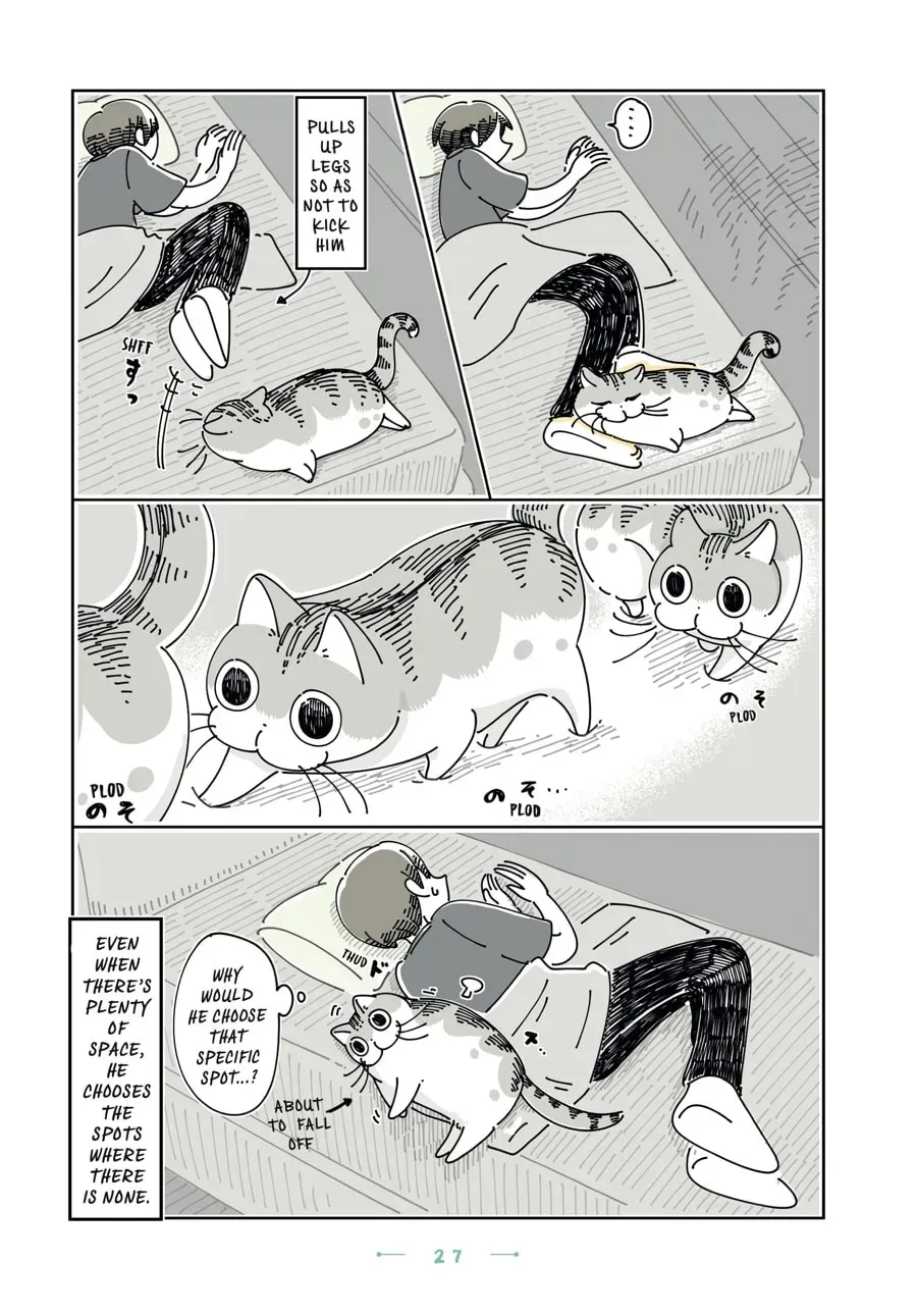 Nights With a Cat Chapter 100 page 3 - 