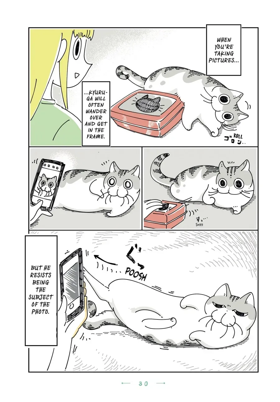 Nights With a Cat Chapter 101 page 3 - 