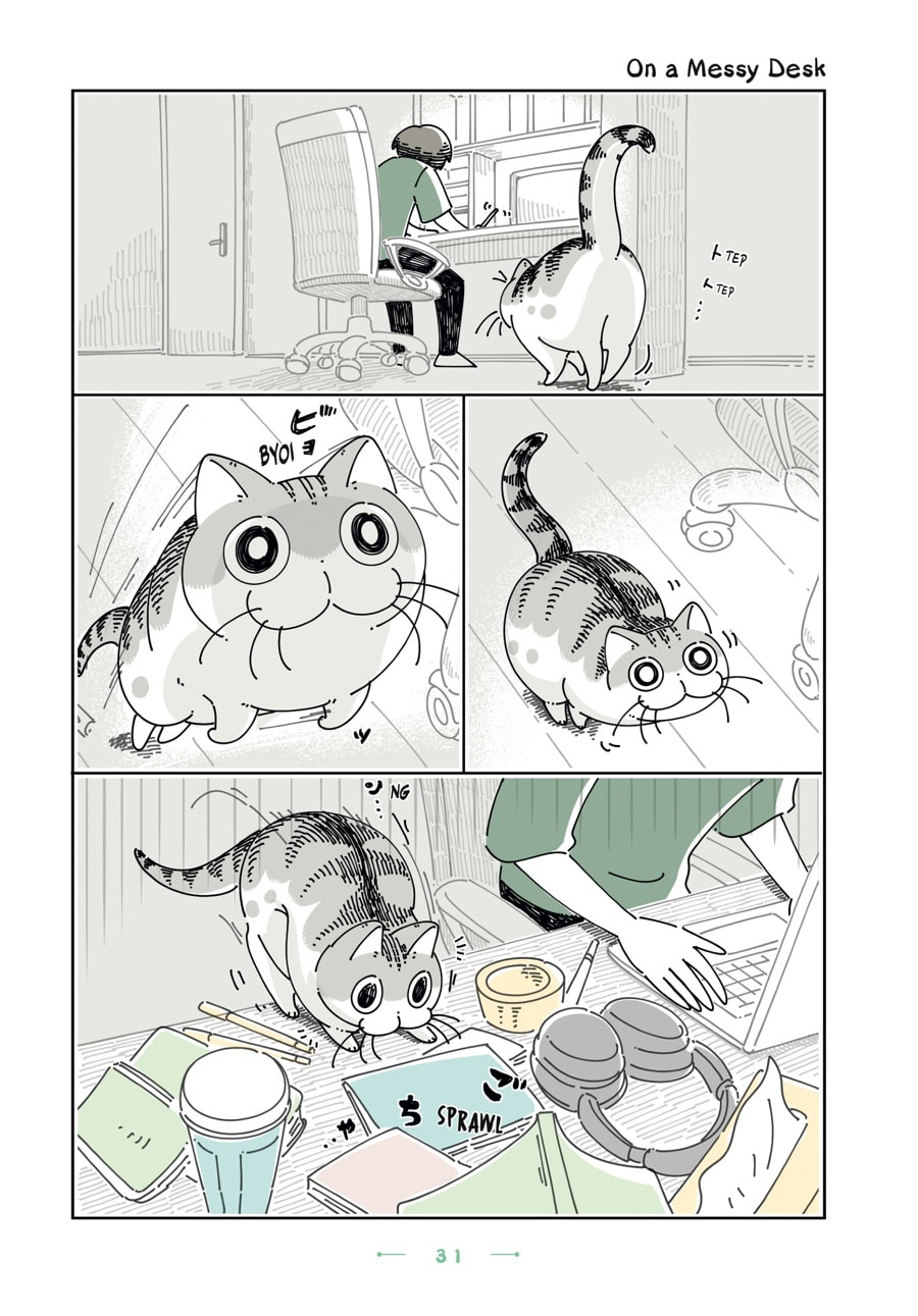 Nights With a Cat Chapter 102 page 1 - 