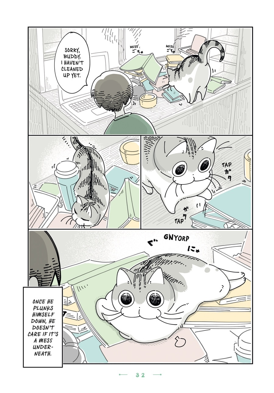 Nights With a Cat Chapter 102 page 2 - 