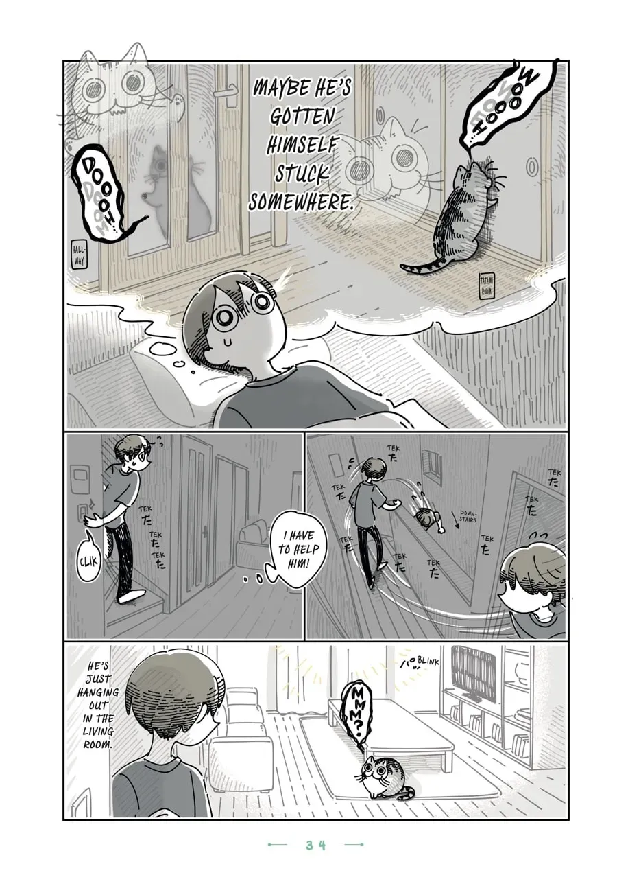 Nights With a Cat Chapter 103 page 2 - 