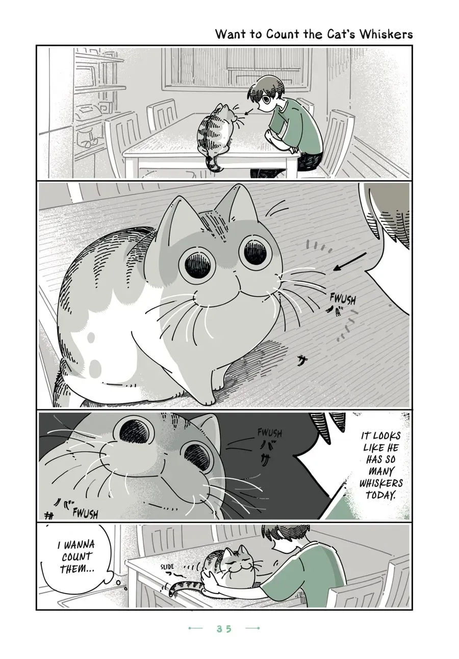 Nights With a Cat Chapter 104 page 1 - 
