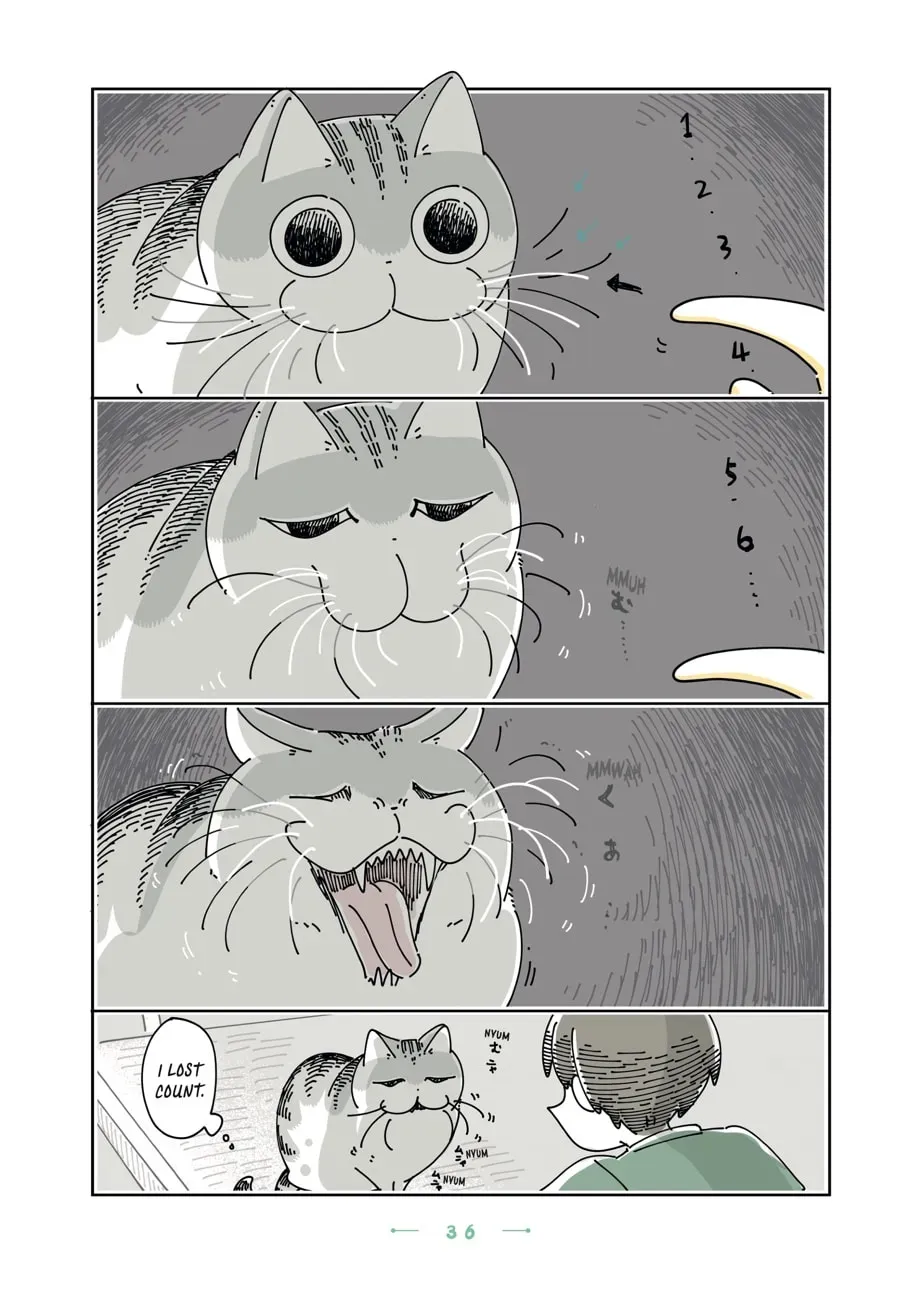 Nights With a Cat Chapter 104 page 2 - 