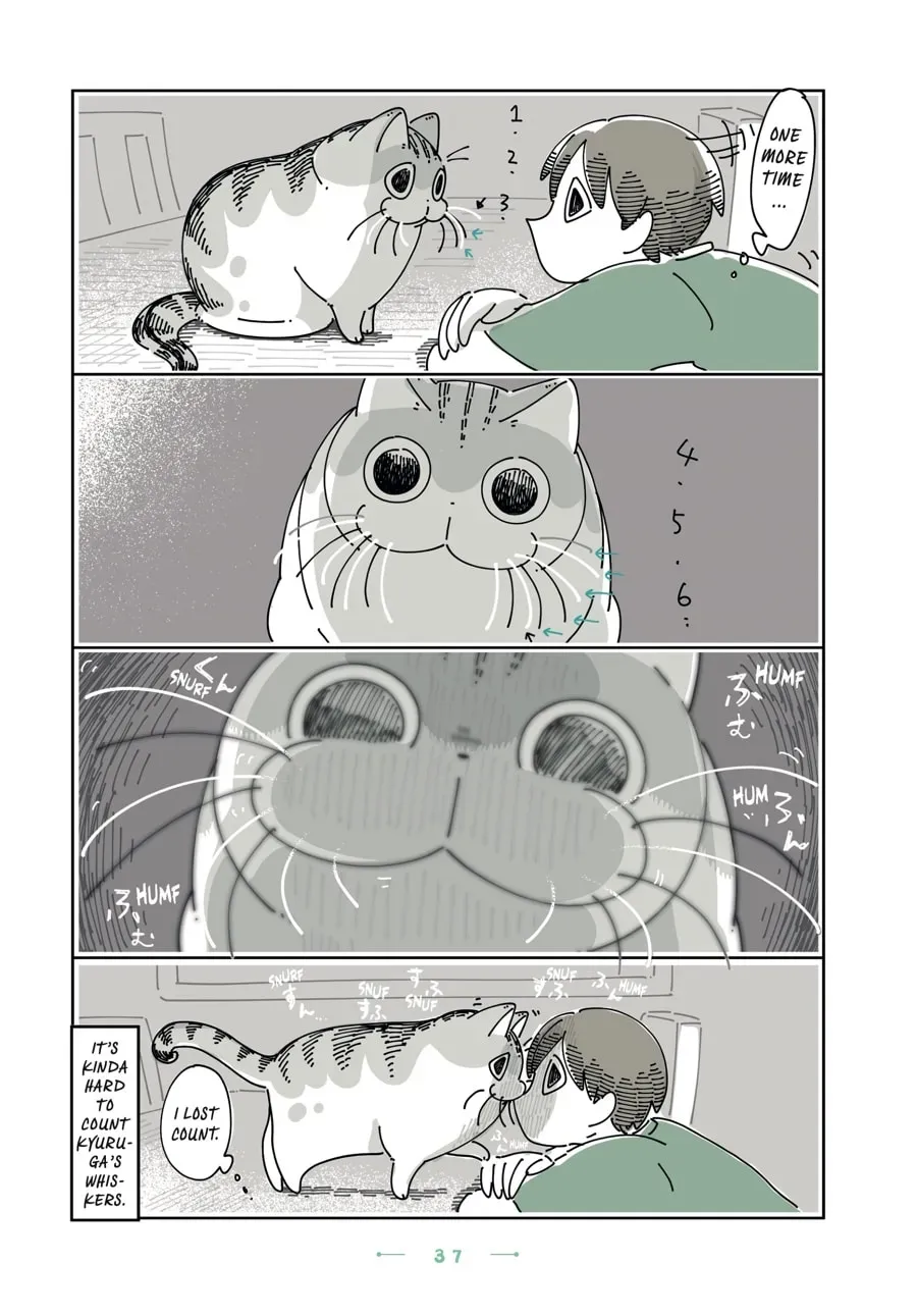 Nights With a Cat Chapter 104 page 3 - 