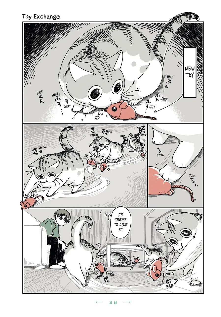 Nights With a Cat Chapter 105 page 1 - 