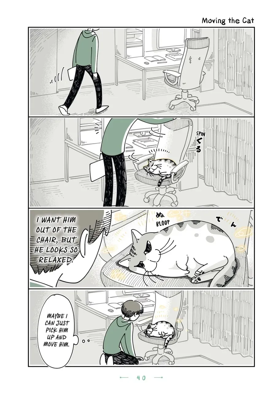 Nights With a Cat Chapter 106 page 1 - 