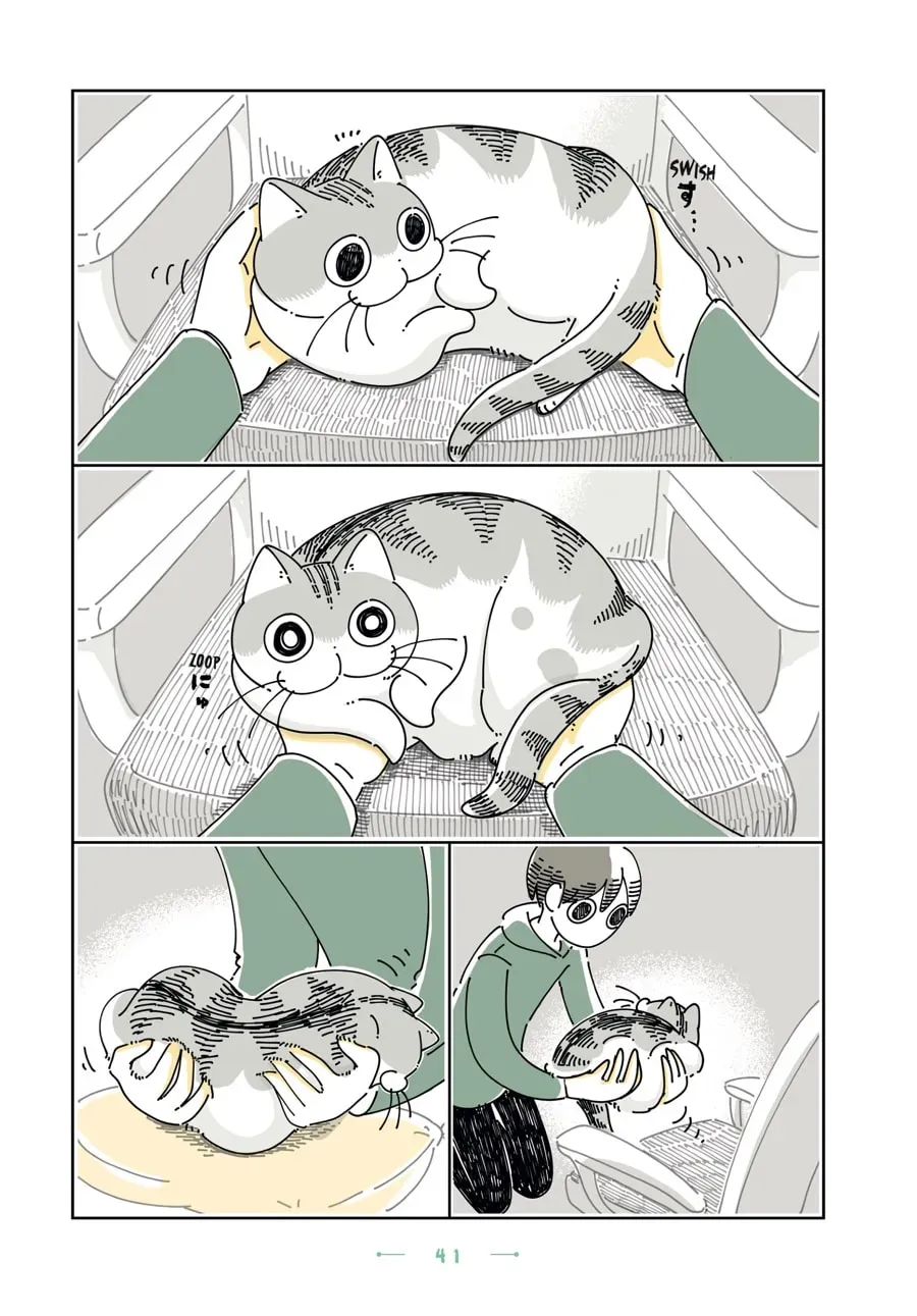 Nights With a Cat Chapter 106 page 2 - 