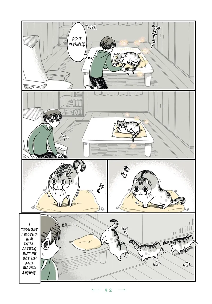 Nights With a Cat Chapter 106 page 3 - 