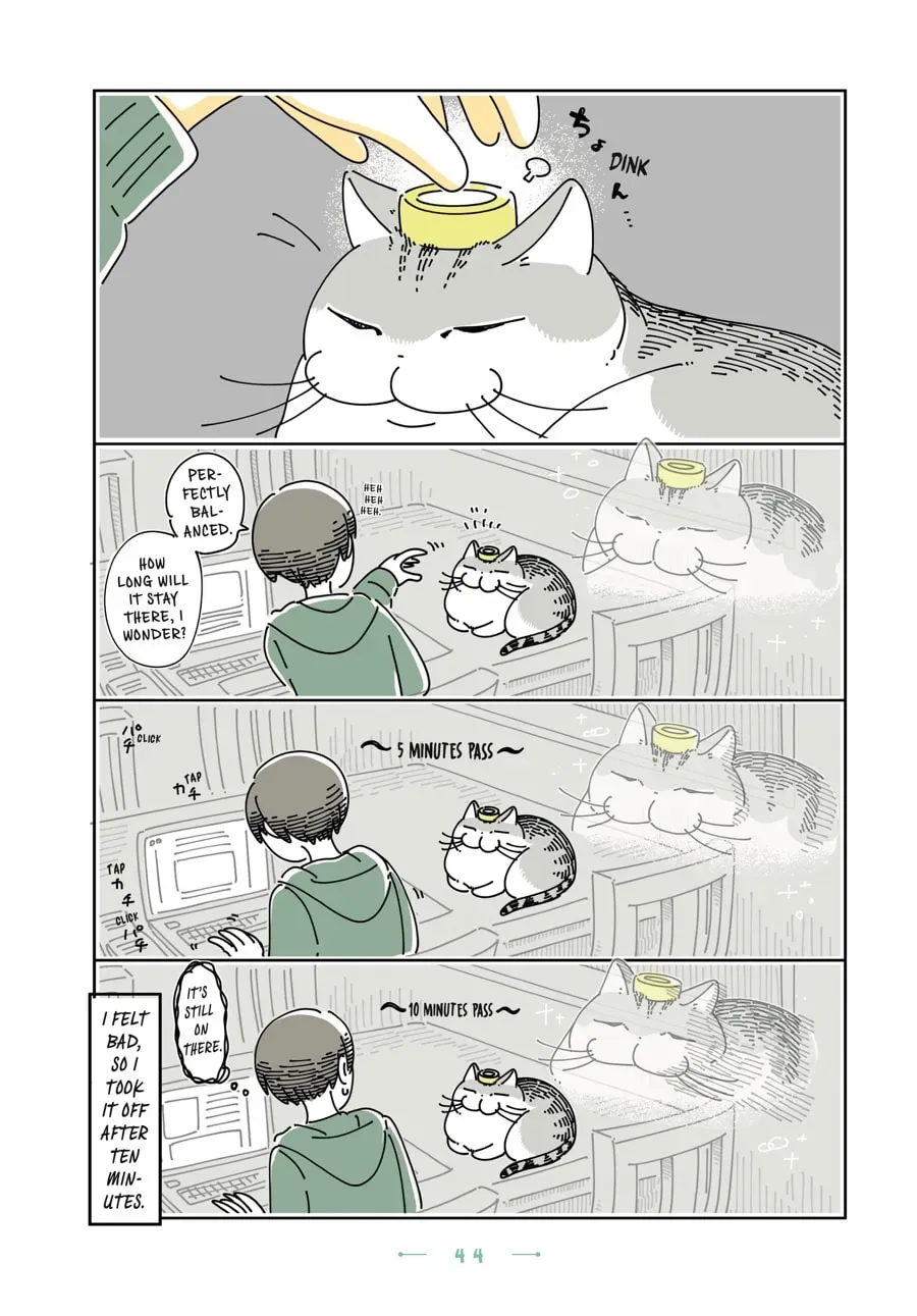 Nights With a Cat Chapter 107 page 2 - 