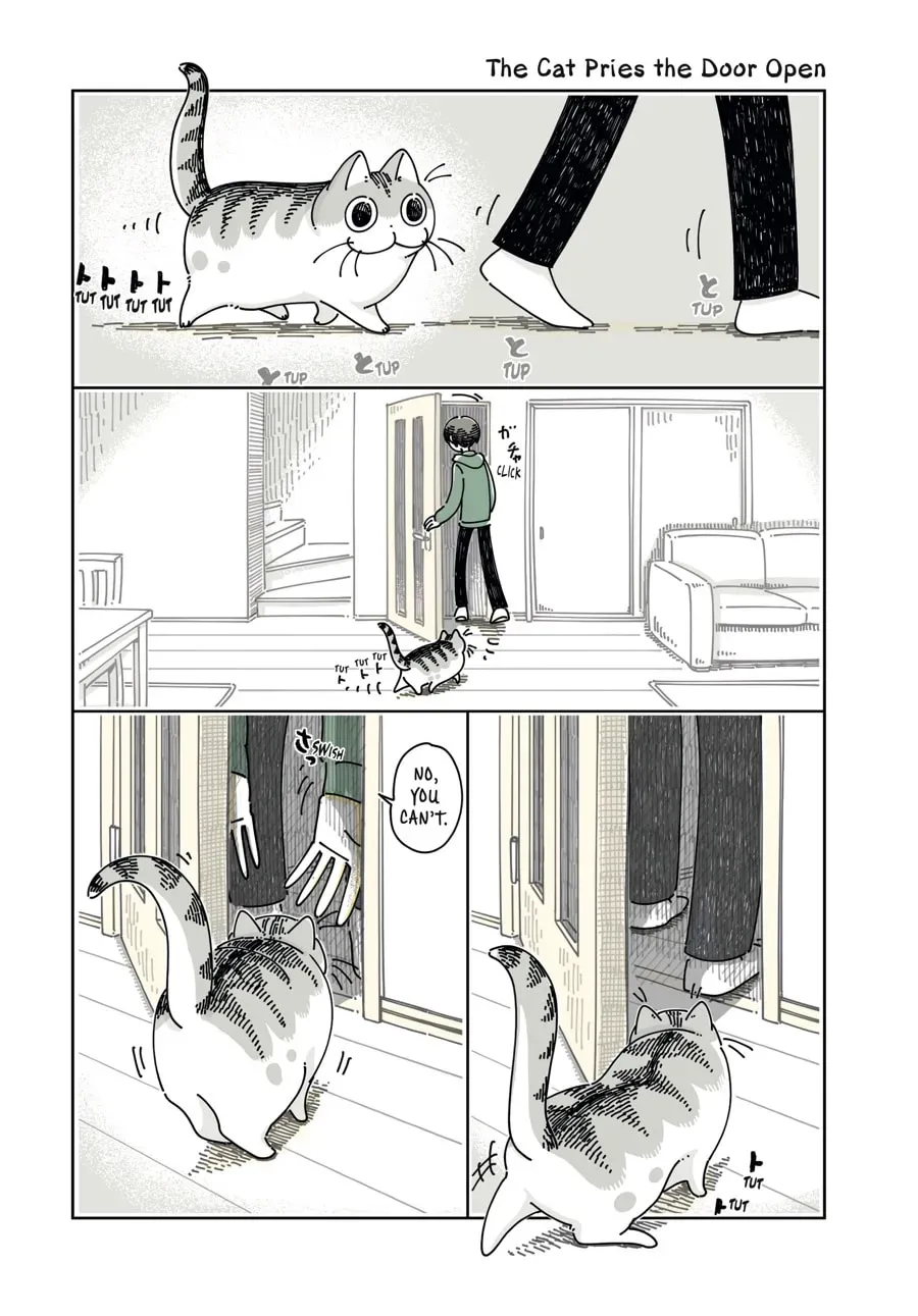 Nights With a Cat Chapter 108 page 1 - 