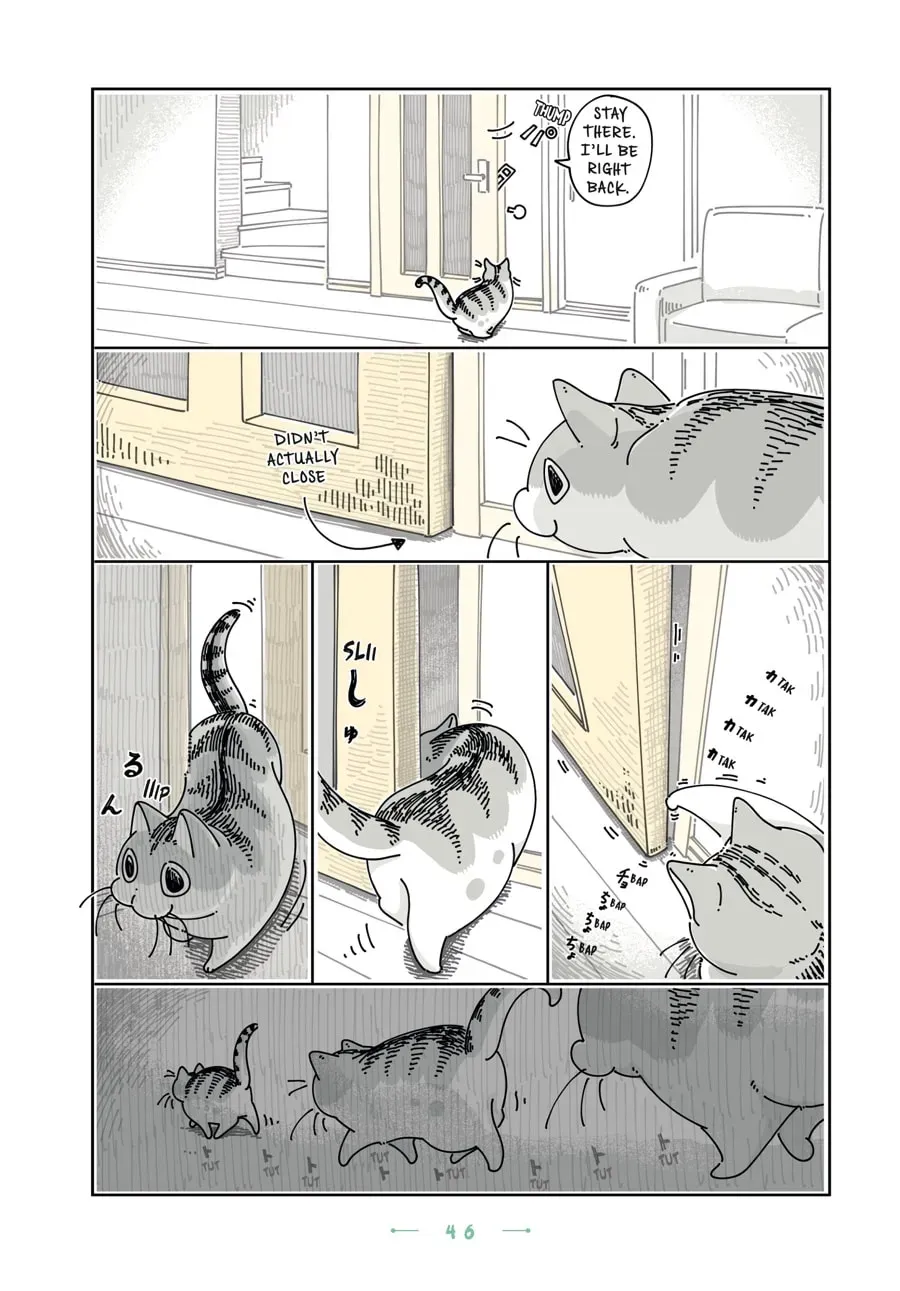 Nights With a Cat Chapter 108 page 2 - 