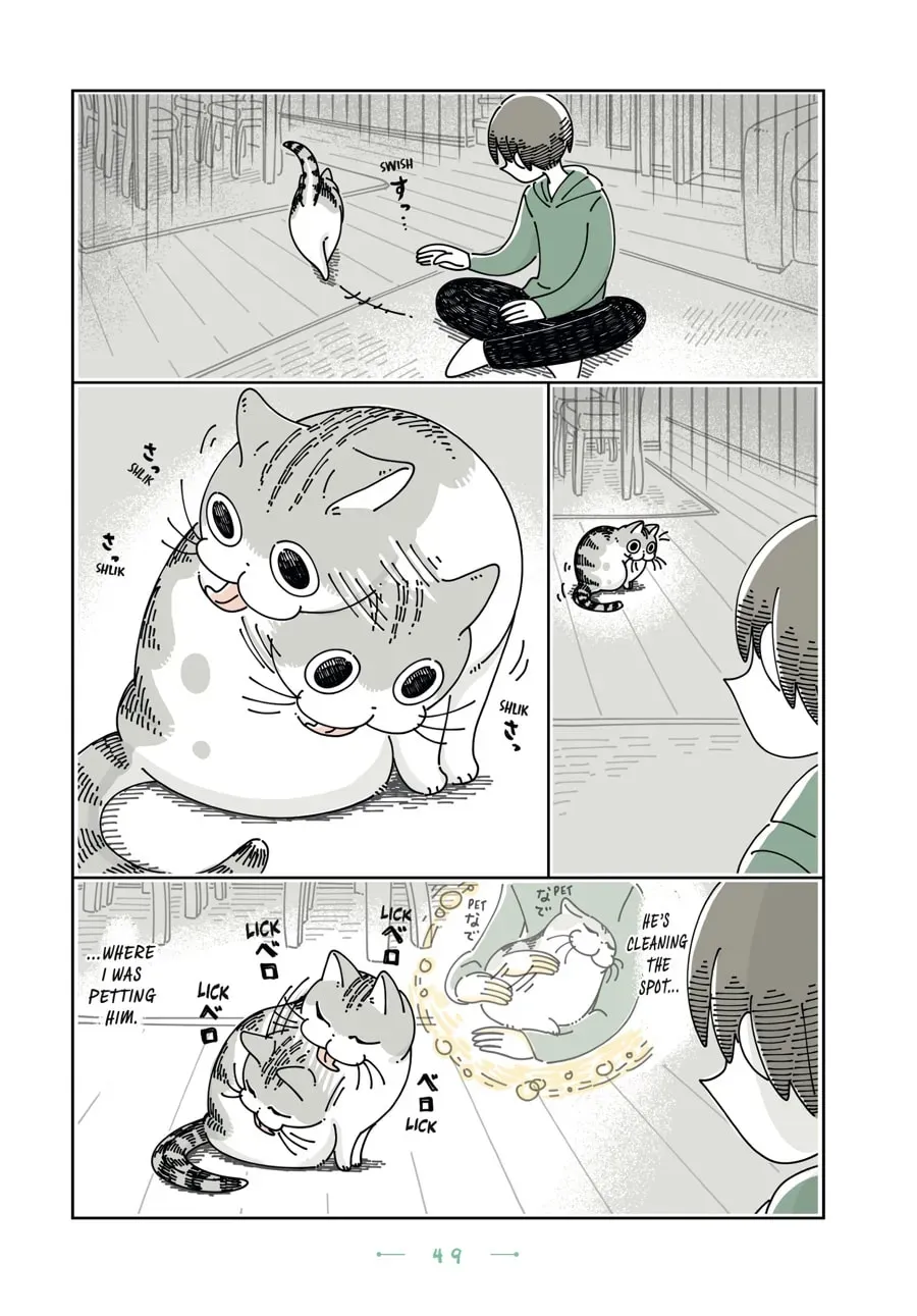 Nights With a Cat Chapter 109 page 2 - 