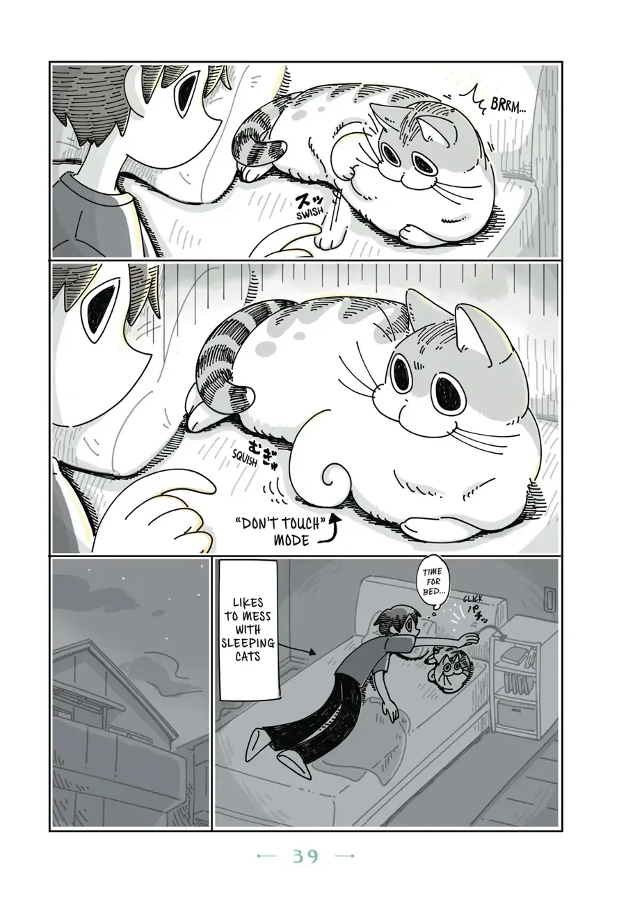 Nights With a Cat Chapter 11.1 page 2 - 